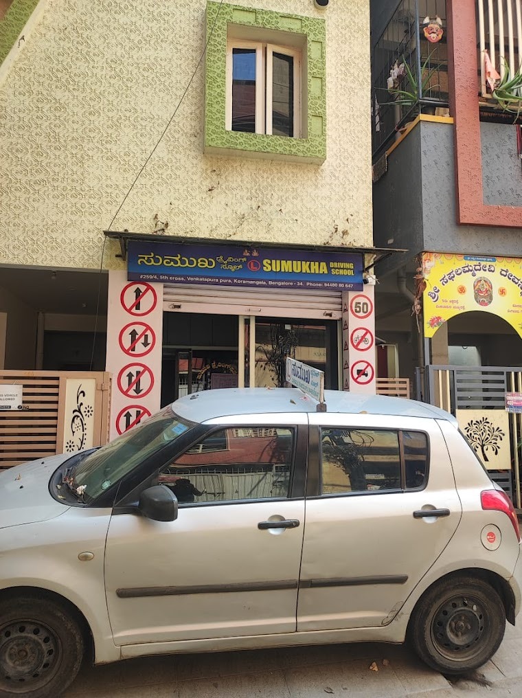 Car driving training